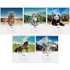 Тетрадь 12л. линия "Природа. Beautiful and Wild"Т12л_14288Спейс