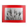 Фоторамка  Image Art 6015-4R